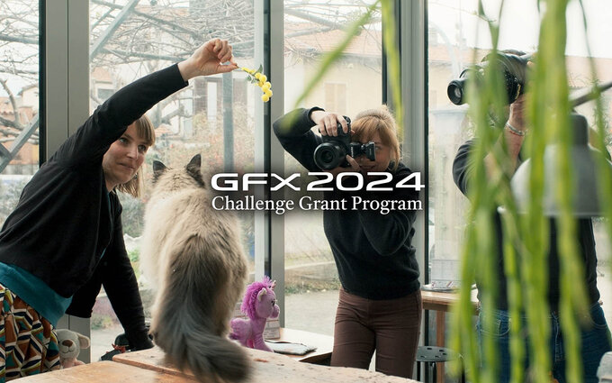 GFX Challenge Grant Program