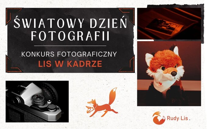 Lis w kadrze - konkurs fotograficzny