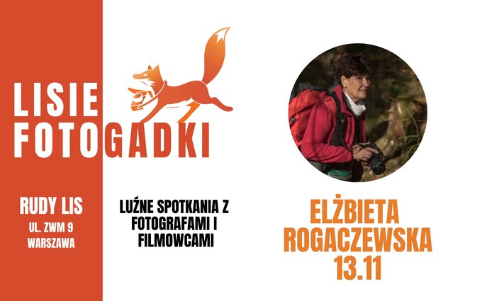 Lisia Fotogadka z Elbiet Rogaczewsk