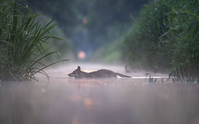 Przyroda Warta Poznania