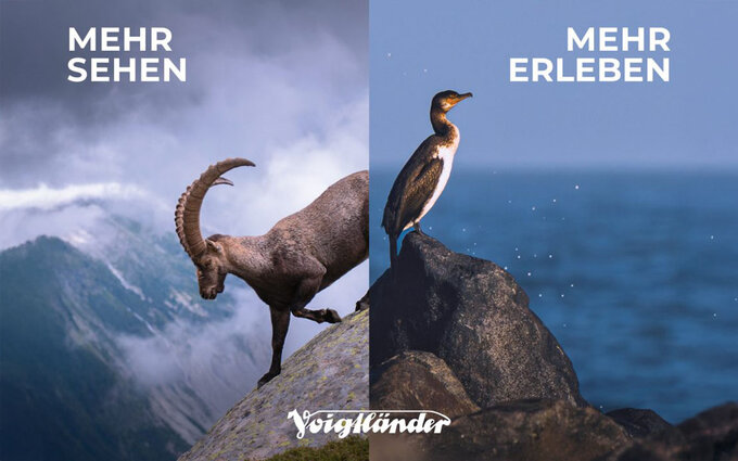 Lornetki Voigtl�nder Vienna APO