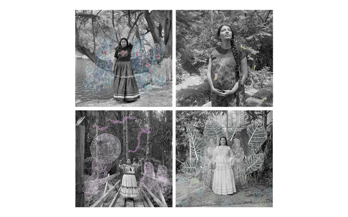 Zwyci�zcy Sony World Photography Awards 2026