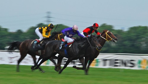 Warsztaty fotograficzne Sigma ProCentrum