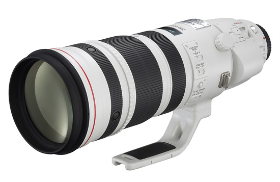 Canon EF 200-400 mm f/4L IS USM